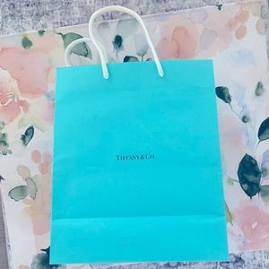 Tiffany & Co. Bag: Brand New Medium Size 💎